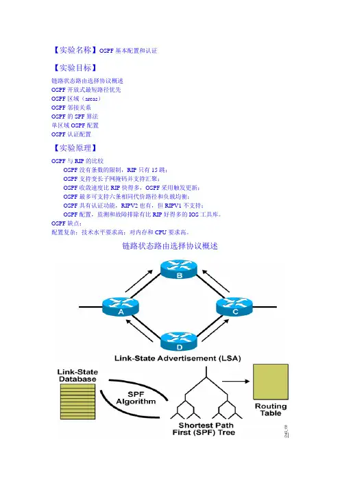 ospf基本配置和认证