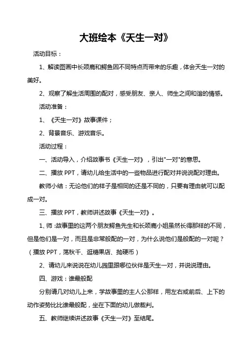 幼儿园大班绘本《天生一对》教案