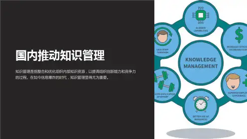 《国内推动知识管理》课件