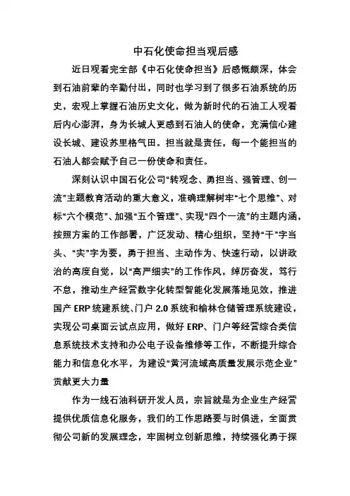 中石化使命担当观后感