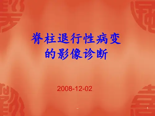 脊柱退行性病变的诊断PPT课件