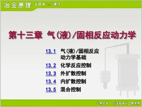 13气液固相反应动力学