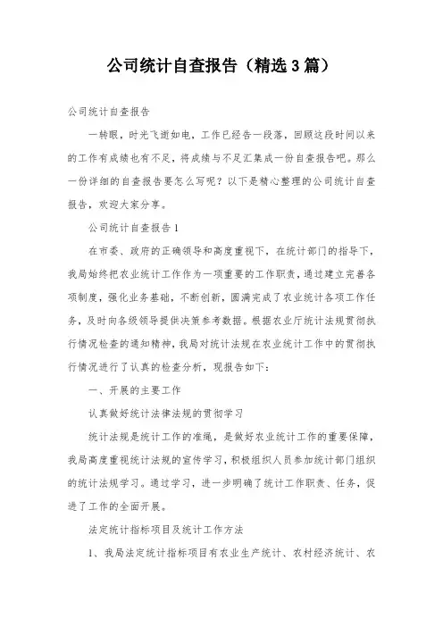 公司统计自查报告(精选3篇)