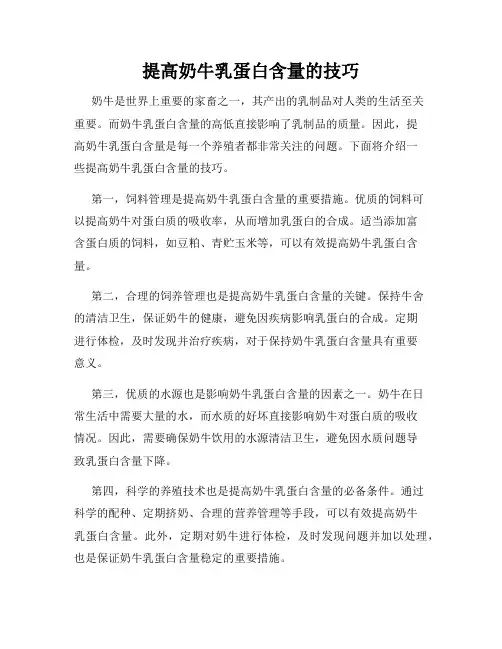 提高奶牛乳蛋白含量的技巧