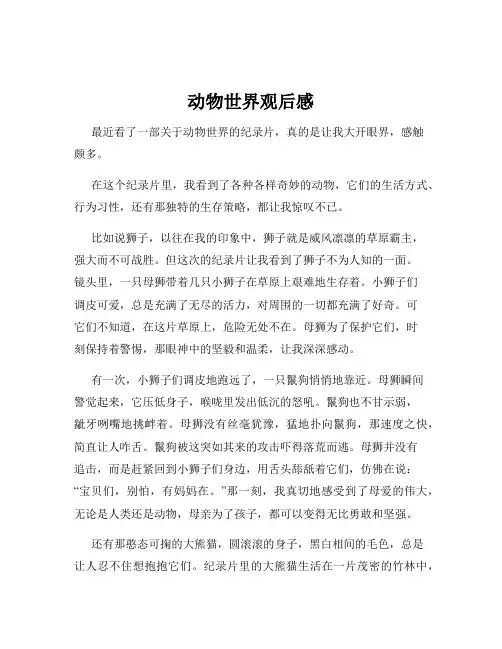 动物世界观后感