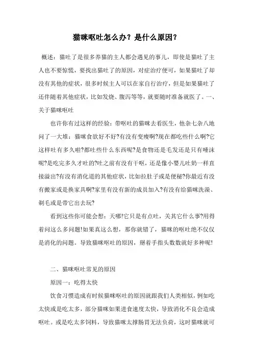 猫咪呕吐怎么办？是什么原因？.doc