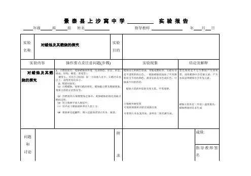蜡烛及其燃烧实验报告