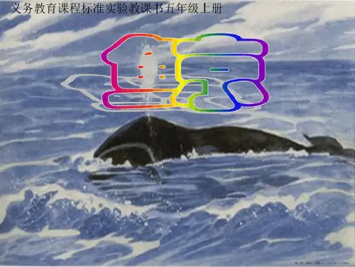 新人教版小学语文五年级上册《鲸》课件