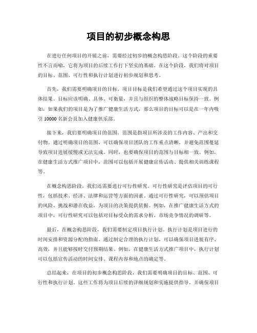 项目的初步概念构思