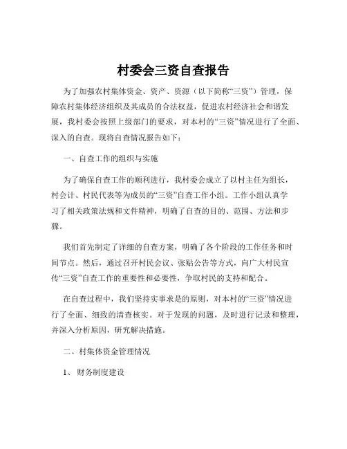 村委会三资自查报告
