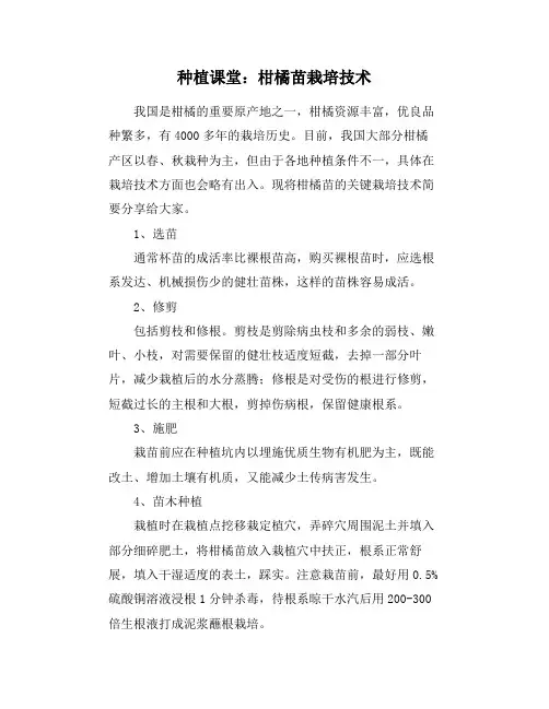 种植课堂：柑橘苗栽培技术