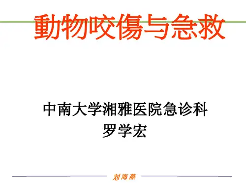 《动物咬伤讲》PPT课件
