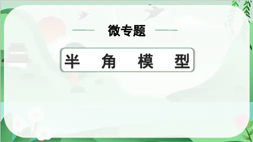 2024年中考数学总复习第一部分考点精讲第四单元三角形微专题半角模型