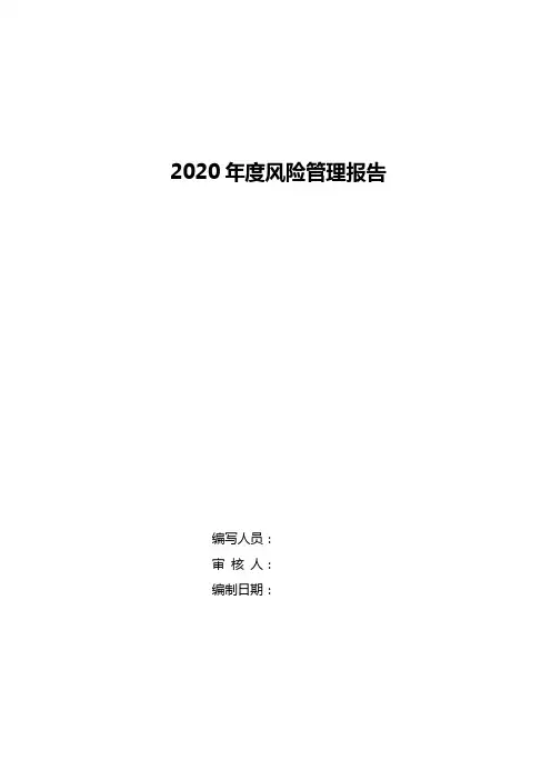 2020年风险管理报告