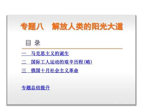 【学练考】2015-2016新高考人民版历史课件 必修一 专题八 解放人类的阳光大道