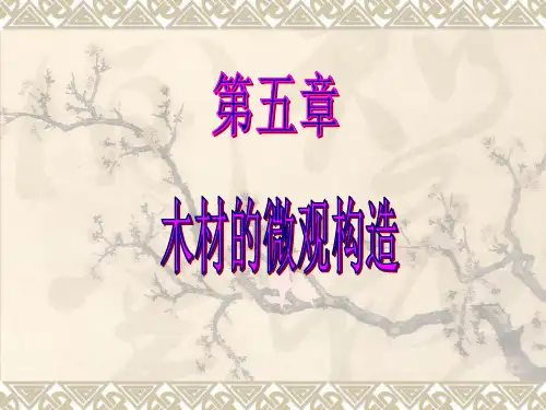 第五章木材显微构造