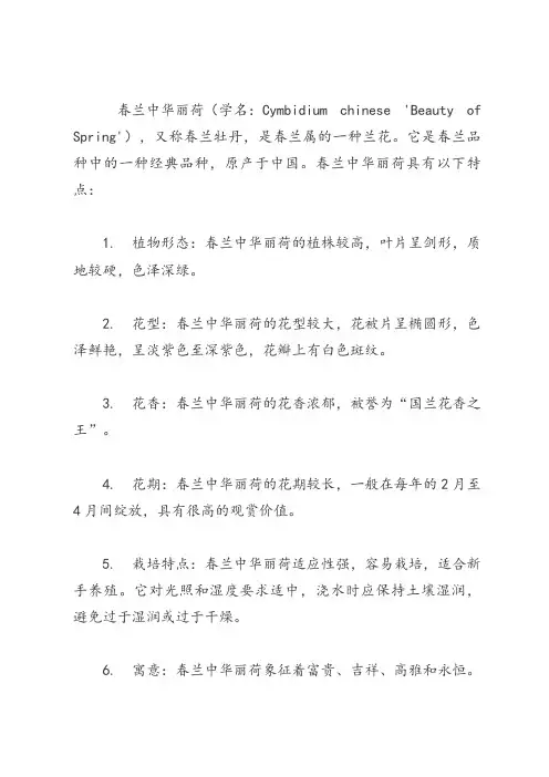 春兰中华丽荷简介