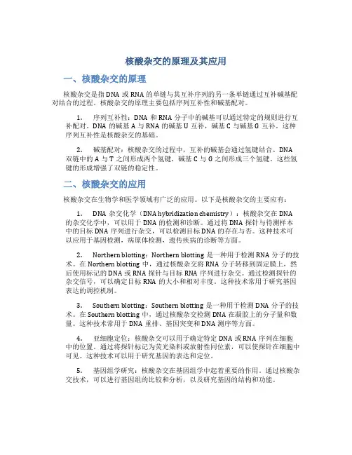 核酸杂交的原理及其应用