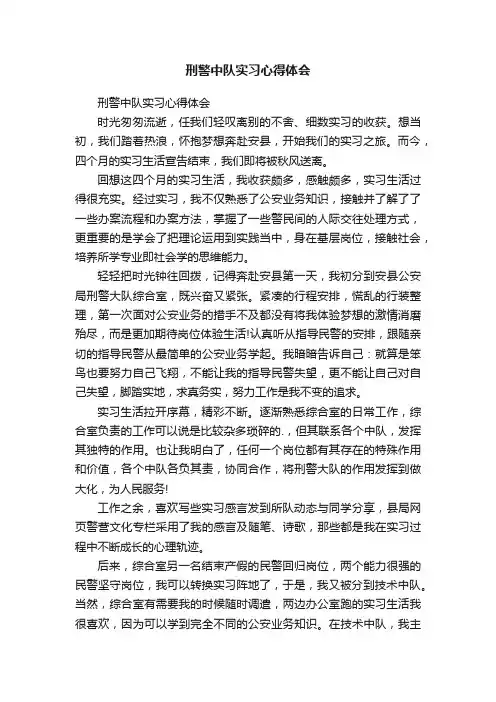 刑警中队实习心得体会