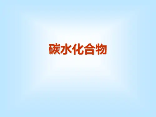 碳水化合物