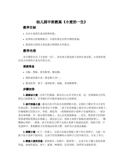 幼儿园中班教案《小麦的一生》