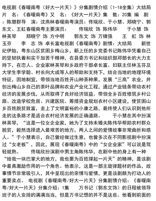电视剧《春暖南粤（好大一片天）》分集剧情介绍（1-18全集）大结局