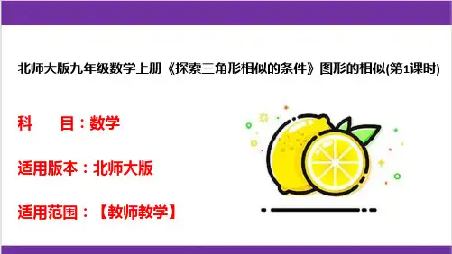 北师大版九年级数学上册《探索三角形相似的条件》图形的相似(第1课时)