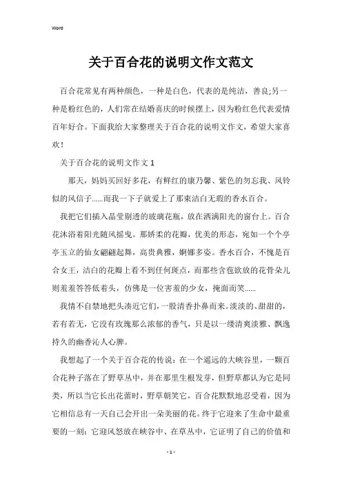 关于百合花的说明文作文范文