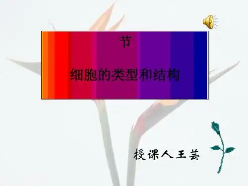 《细胞的类型和结构》PPT课件11