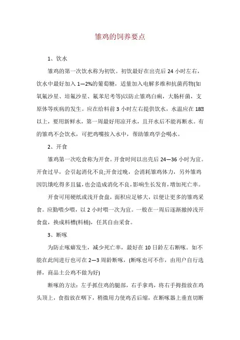 雏鸡的饲养要点
