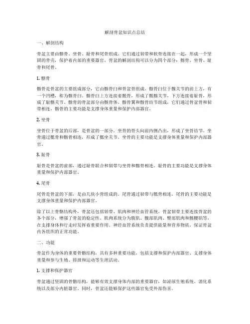 解剖骨盆知识点总结