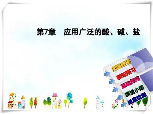 化学九年级全册沪教版 7.3.1 盐课件
