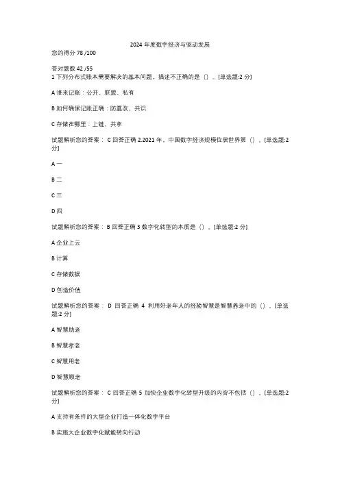 2024年度数字经济与驱动发展