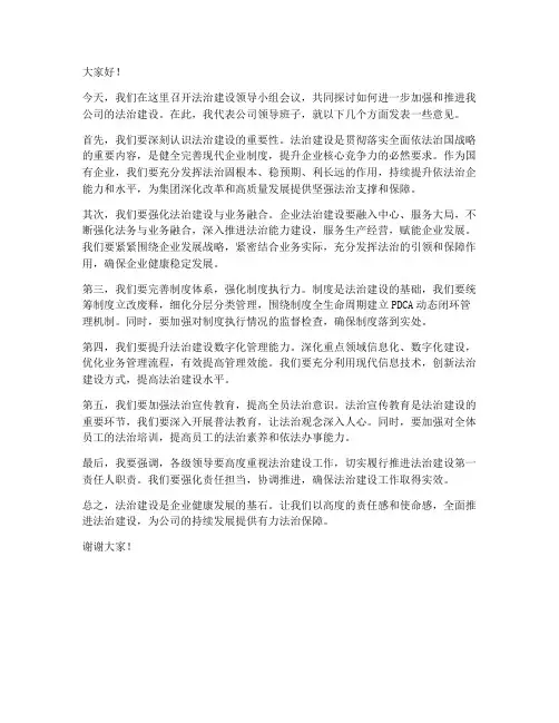 法治建设国企领导发言稿