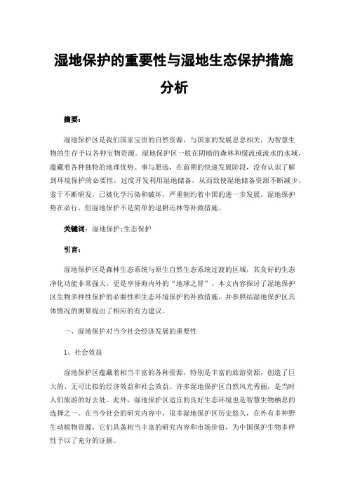 湿地保护的重要性与湿地生态保护措施分析