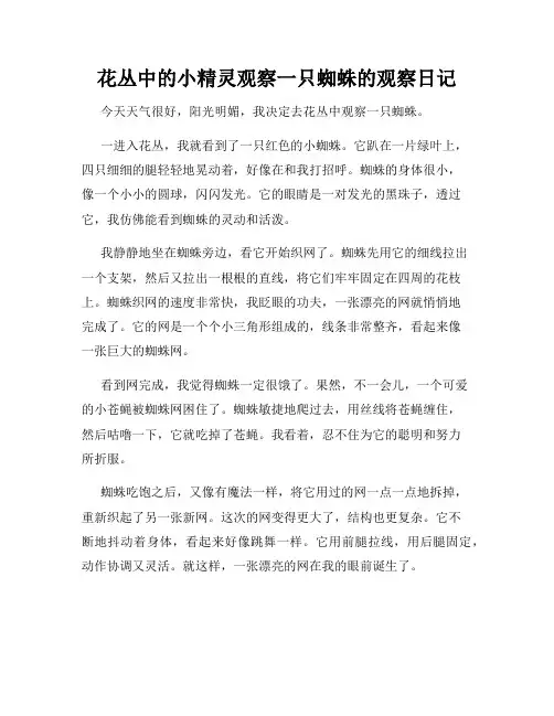小学三年级作文花丛中的小精灵观察一只蜘蛛的观察日记
