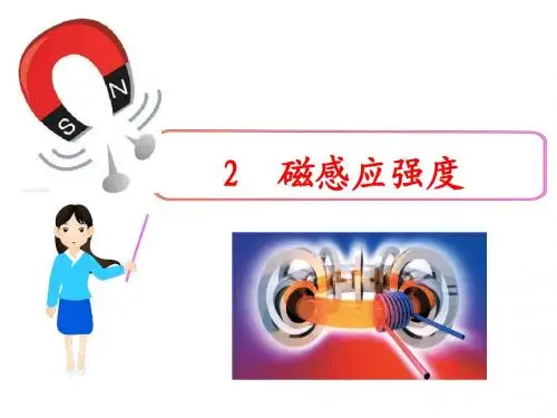 磁感应强度(2)