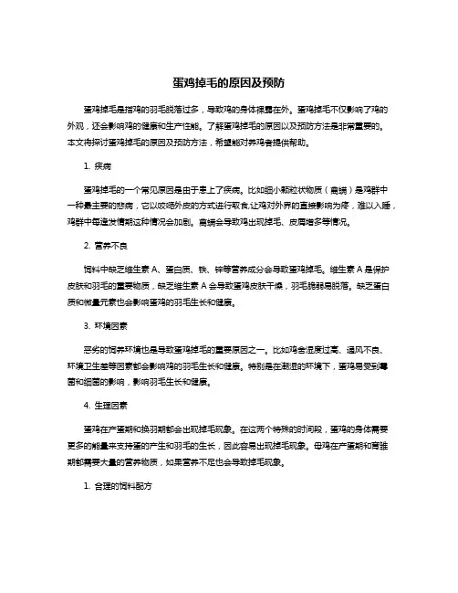 蛋鸡掉毛的原因及预防