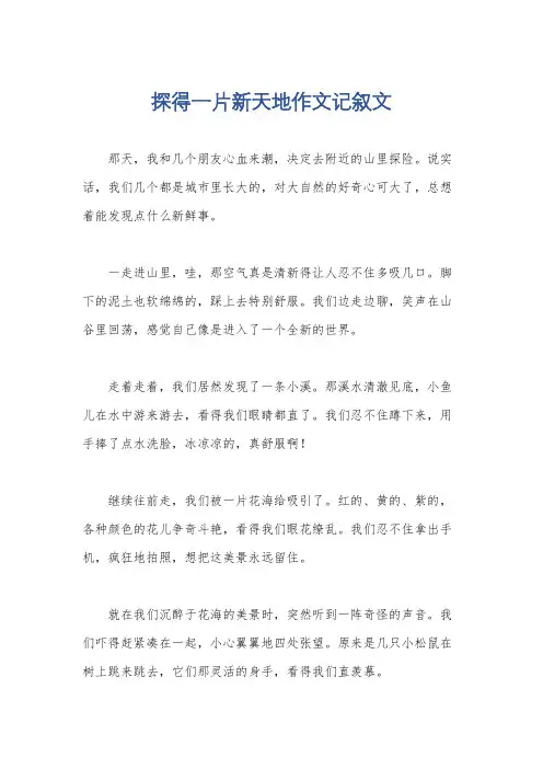 探得一片新天地作文记叙文