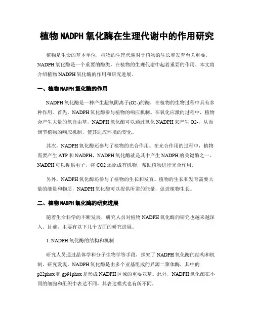 植物NADPH氧化酶在生理代谢中的作用研究