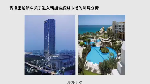 新加坡营销环境分析PPT课件