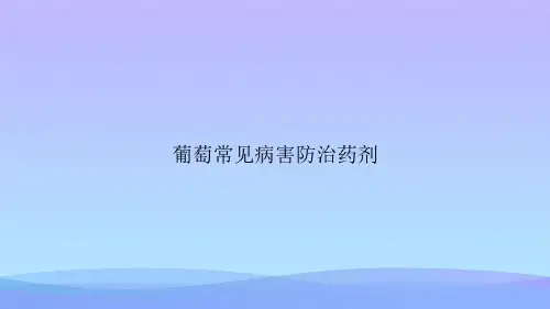 葡萄常见病害防治药剂