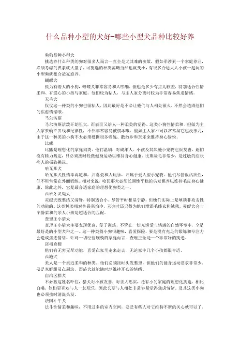 什么品种小型的犬好-哪些小型犬品种比较好养