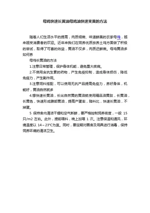 母鸡快速长黄油母鸡油快速变黄的方法