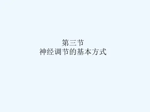 人教版神经调节的基本方式(15)