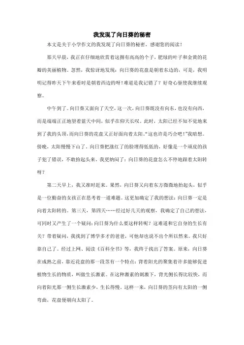 我发现了向日葵的秘密_小学作文
