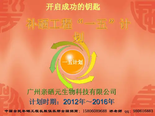 中国全民补硒工程五年规划