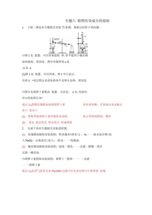 生物选修一--专题六植物有效成分的提取练习试题.docx