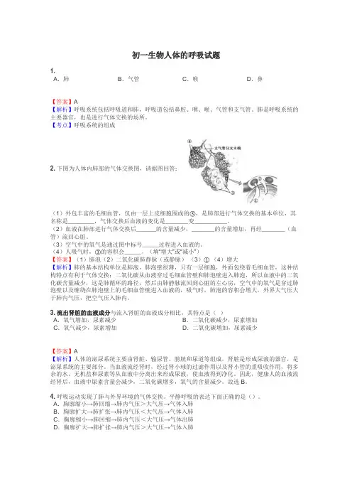 初一生物人体的呼吸试题

