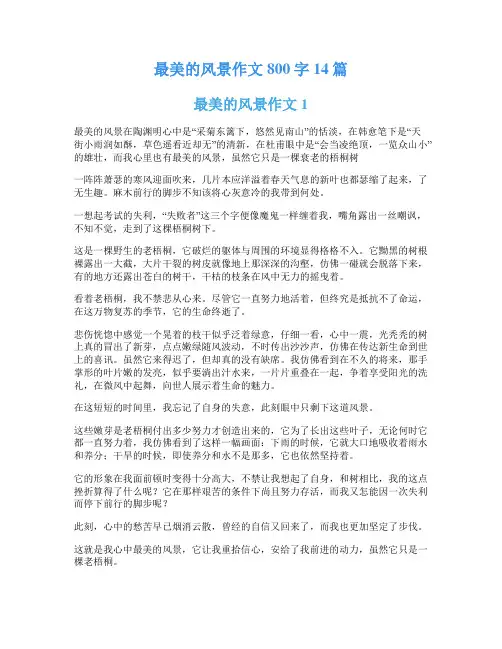 最美的风景作文800字14篇